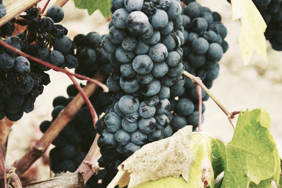 Voluptatem alias facilis nulla