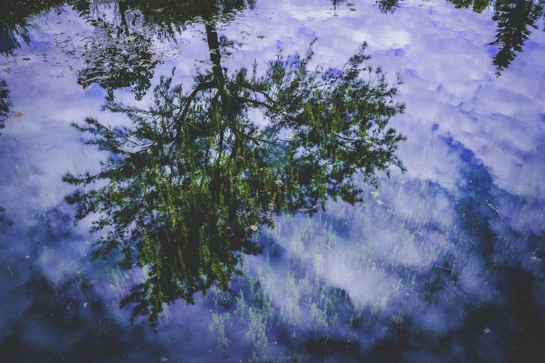 Dolor temporibus est