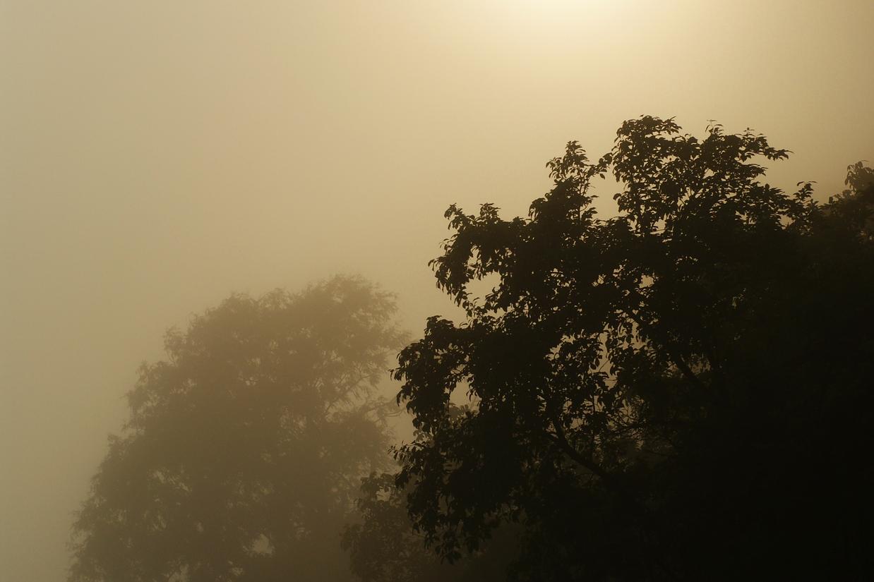 Ducimus blanditiis et quia voluptatem repellendus