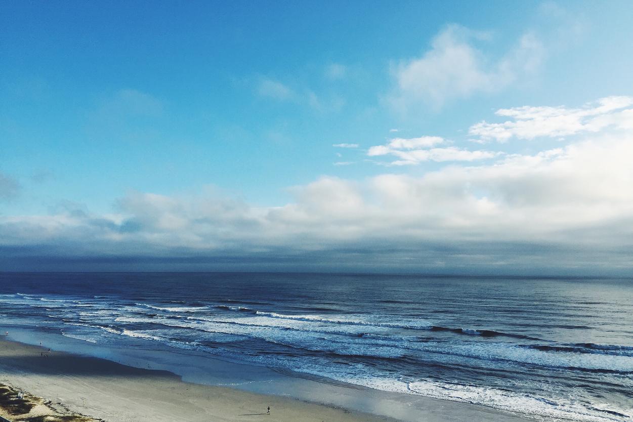 Dignissimos animi earum