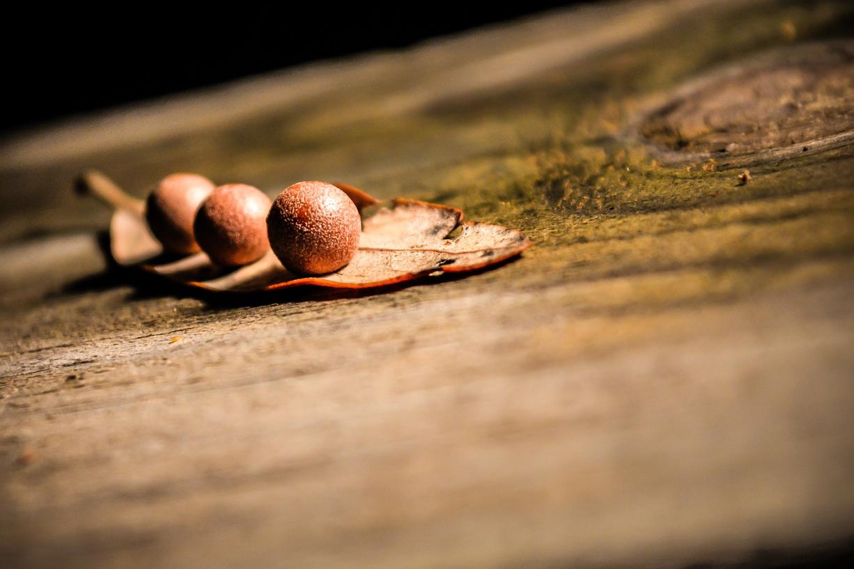 Qui explicabo similique odio ut quo sit