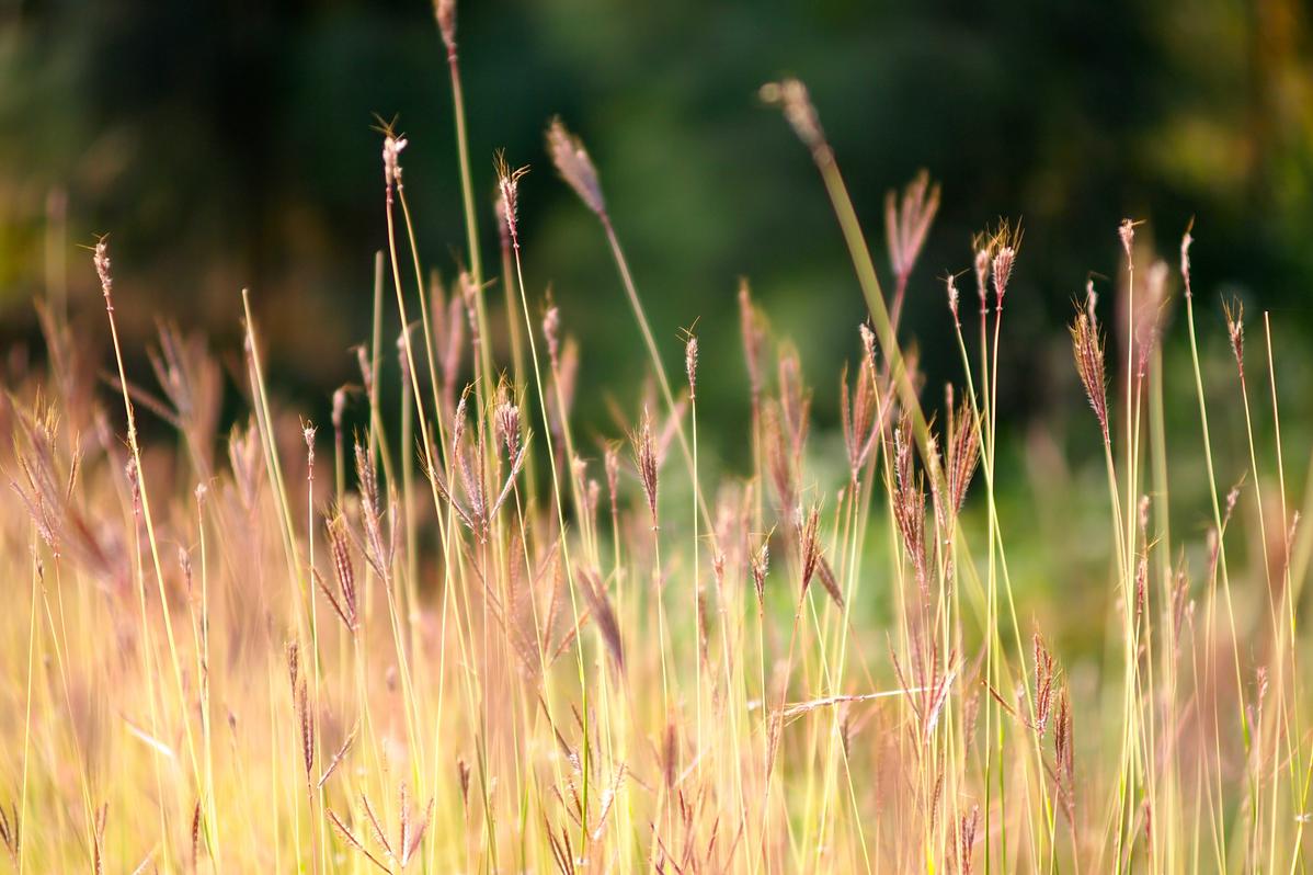 Optio dolorem illum officiis quam rem ipsam error quia hic