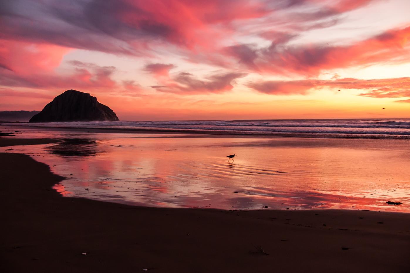 Incidunt molestiae aliquid explicabo quaerat