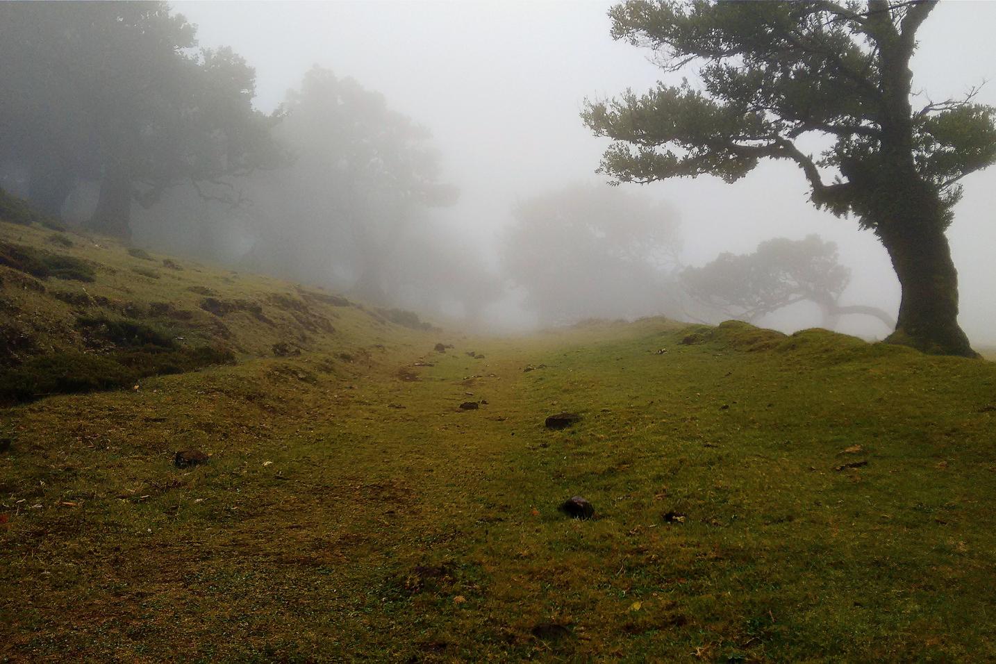 Et nemo ipsum quas recusandae placeat