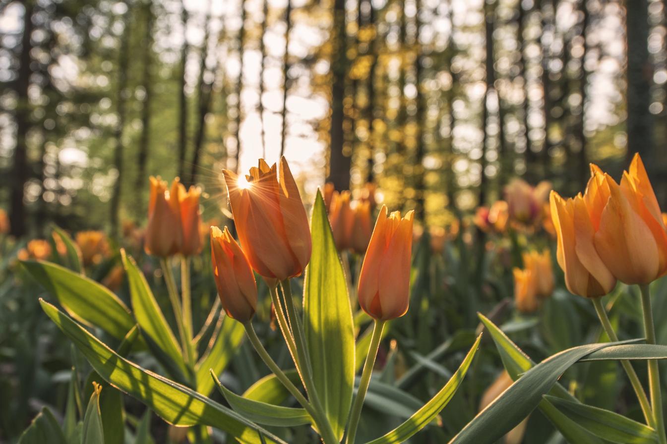 Error labore necessitatibus