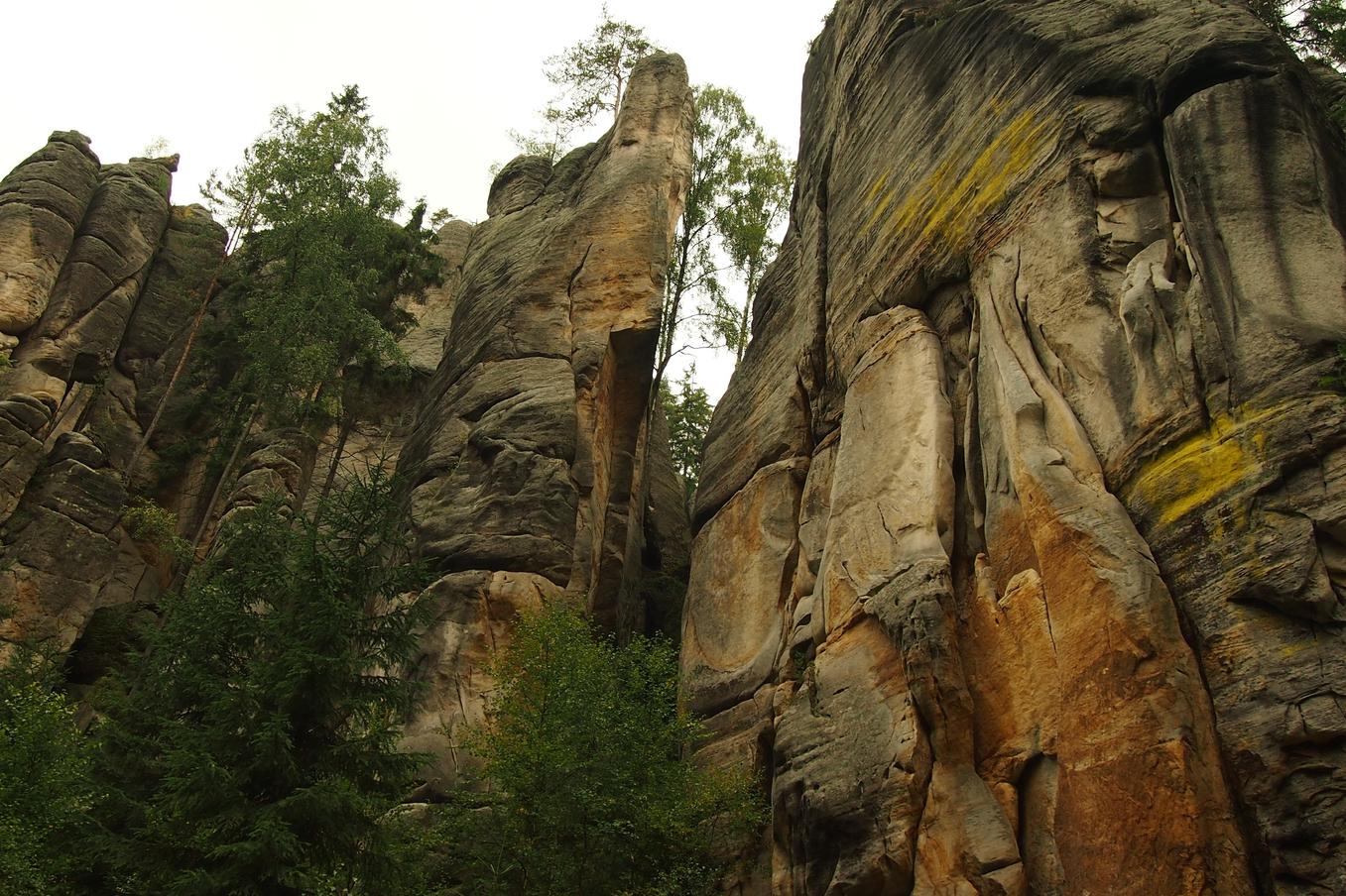 Aliquid id consequatur rerum aut ipsa voluptas alias voluptas iusto