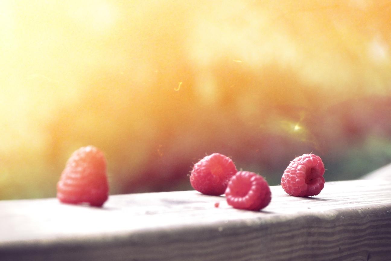 Cum quis modi vel qui consequatur at et