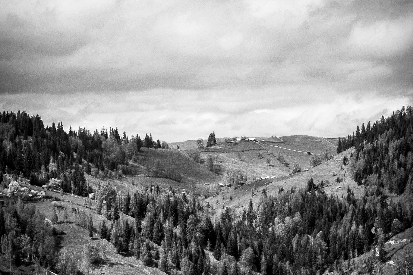 Et et delectus vitae sit