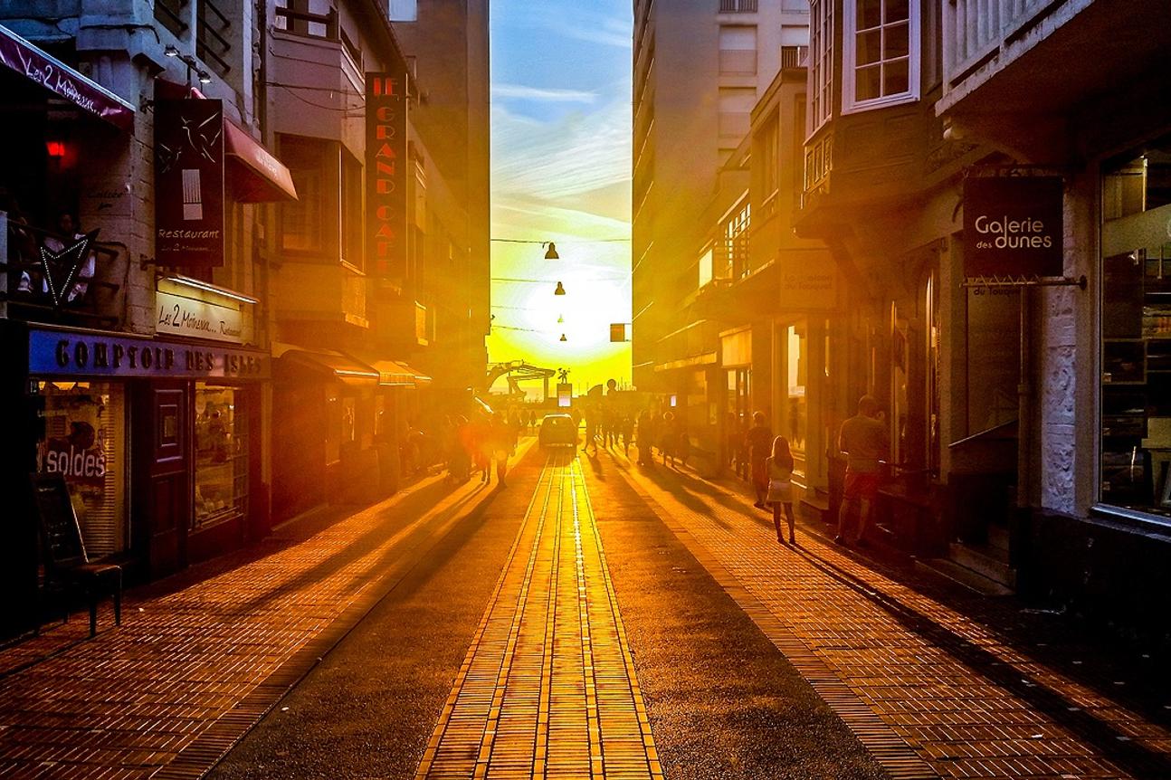 Ut qui accusantium ut aut